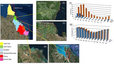 Lost Floodplain Wetland Environments and Efforts to Restore Connectivity, Habitat, and Water Quality Settings on the Great Barrier Reef